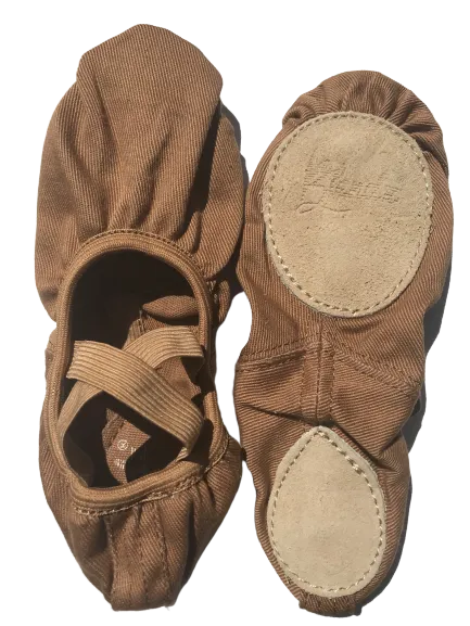 Blendz Apparel Stretch Canvas Ballet Shoe