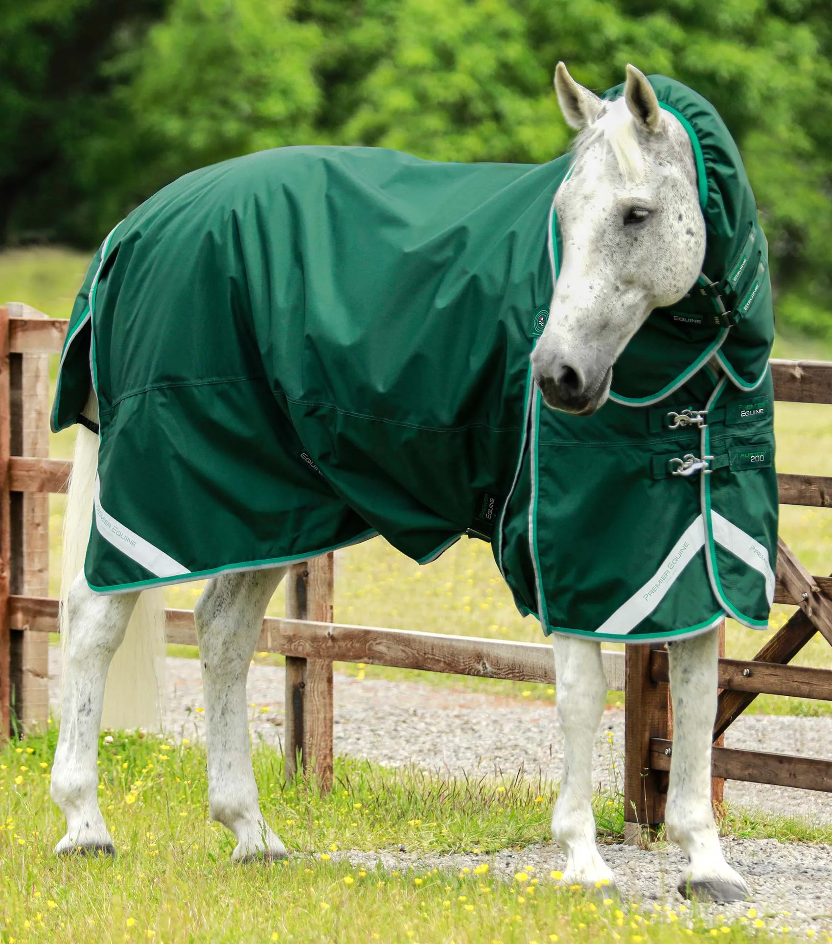 Buster 200g Turnout Rug with Snug-Fit Neck Cover Green