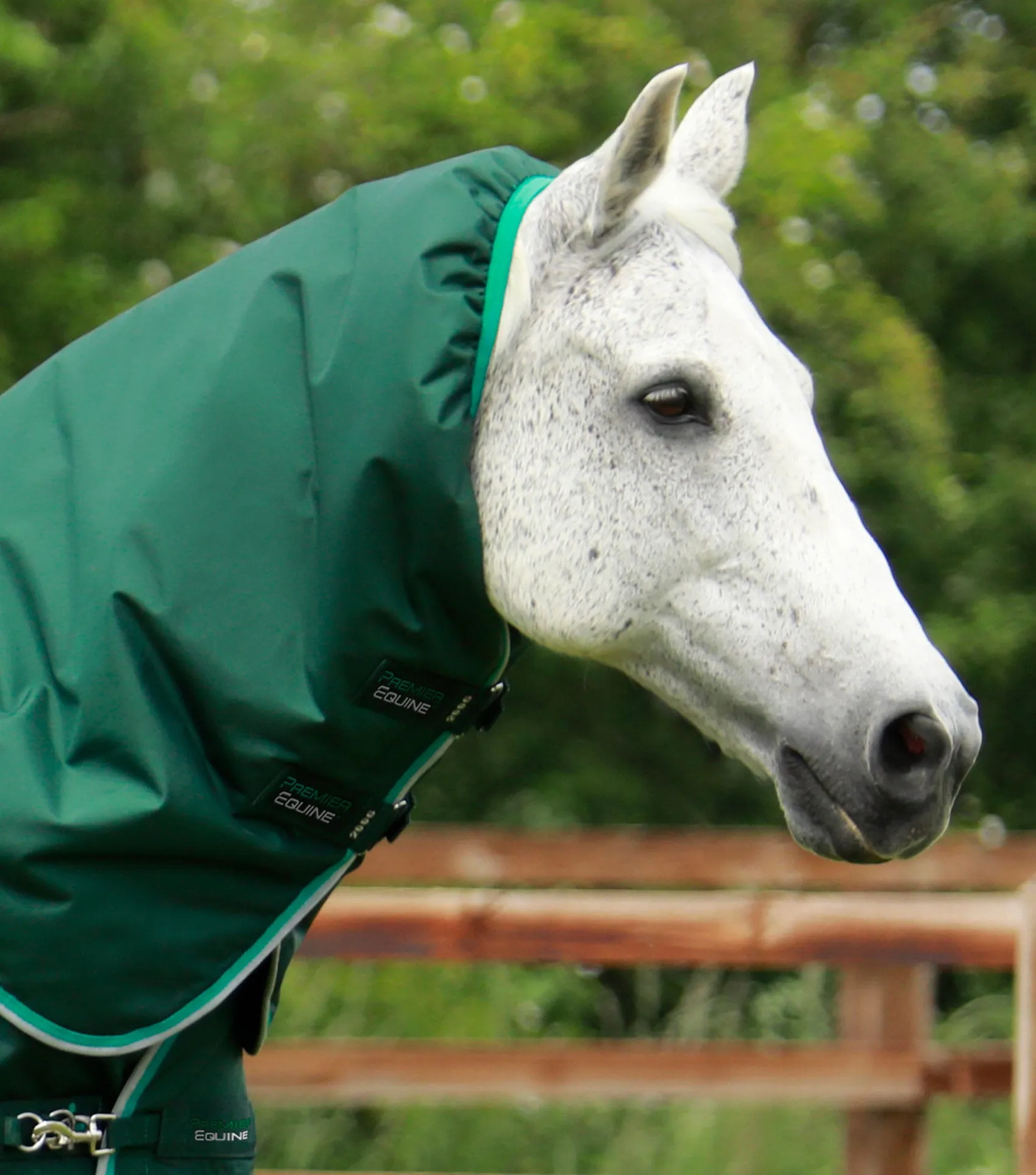 Buster 200g Turnout Rug with Snug-Fit Neck Cover Green