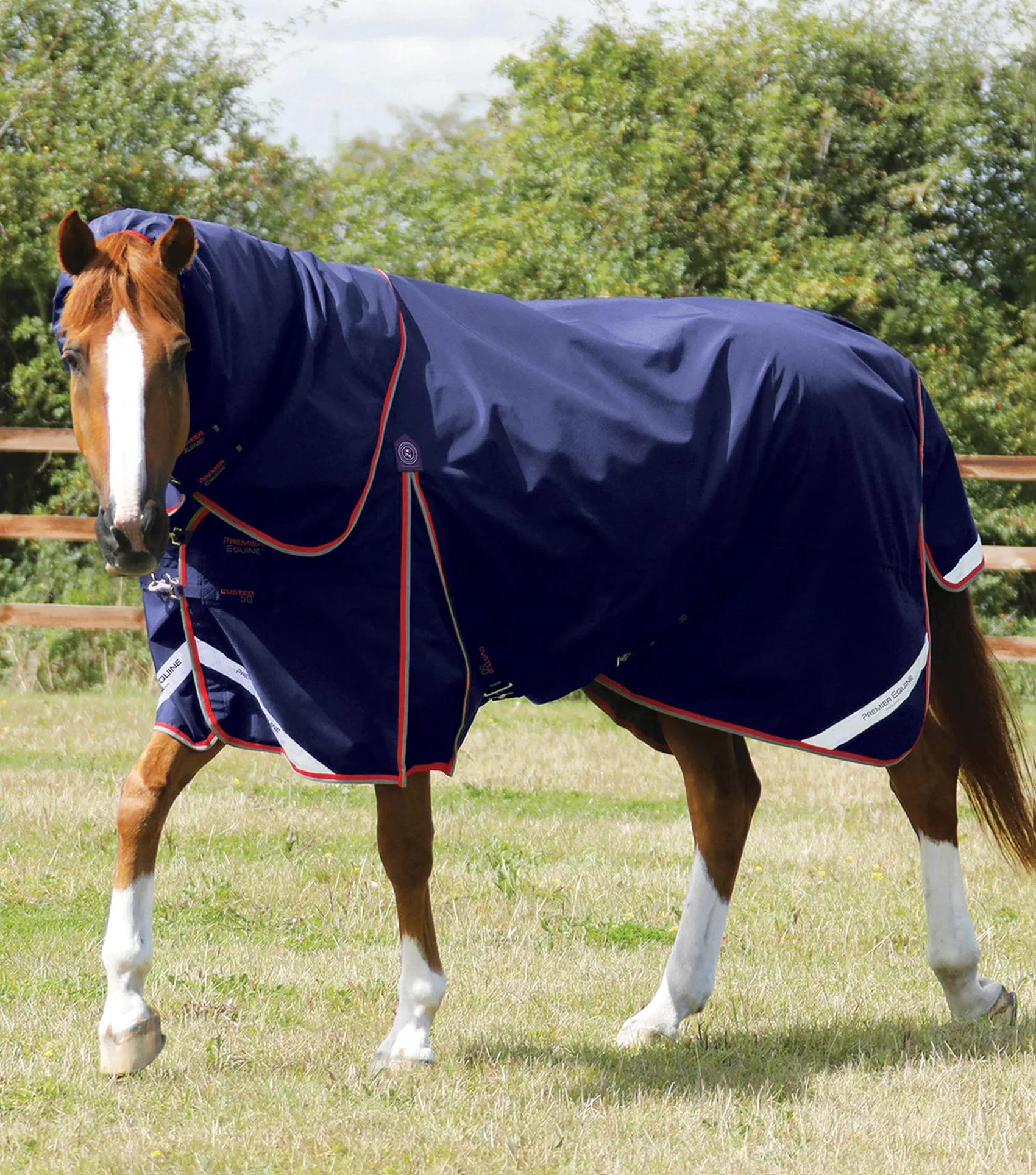 Buster 50g Turnout Rug with Snug-Fit Neck Cover Navy