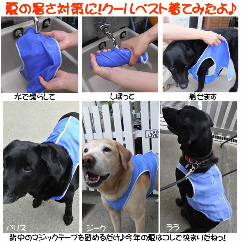 Marukan HieHie Cooling Vest for Dog