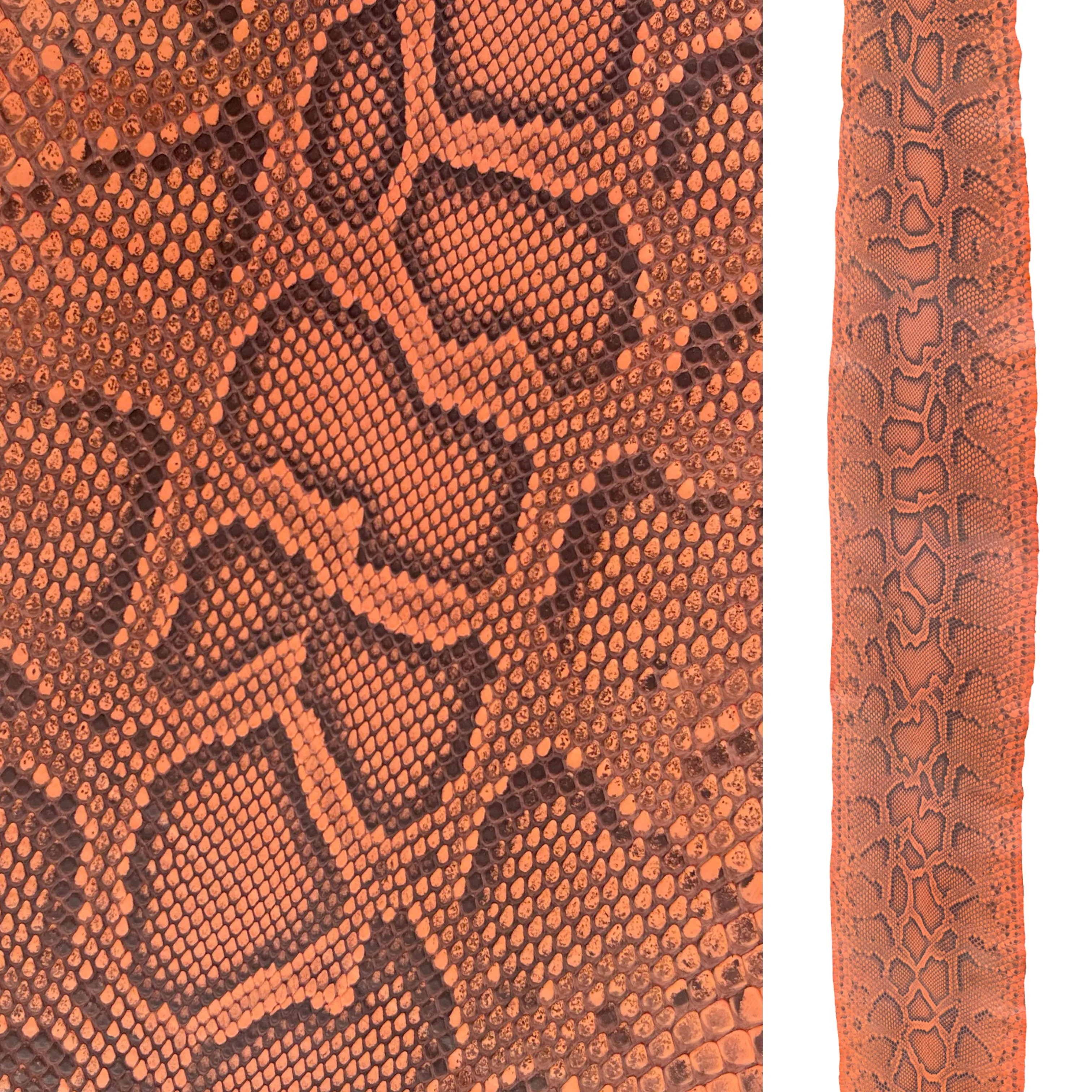 Python Clementine Skin