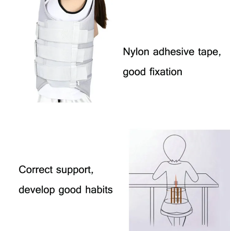 Regular Style Thoracolumbar Fixation Belt Strap Type Protective Gear Without Airbag, Specification: S