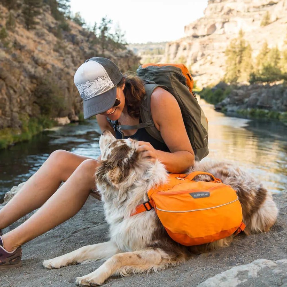 Ruffwear Approach Full Day Pack Handled Dog Harness