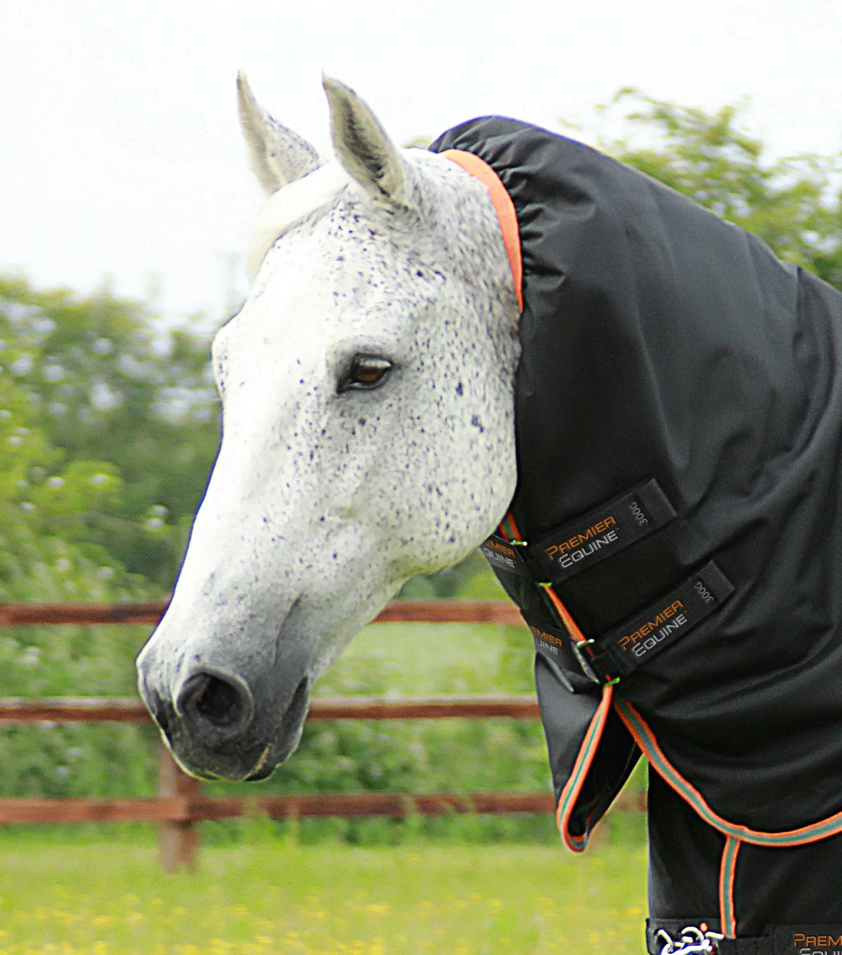 Titan 300g Turnout Rug with Snug-Fit Neck Cover Black