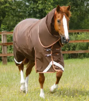 Titan 300g Turnout Rug with Snug-Fit Neck Cover Brown